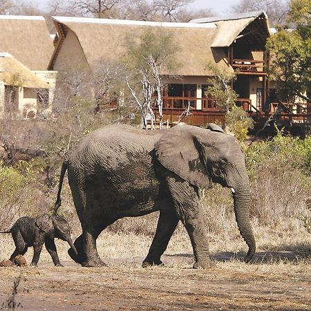 Elephant Plains Game Lodge Sabi Sand Game Reserve Eksteriør billede