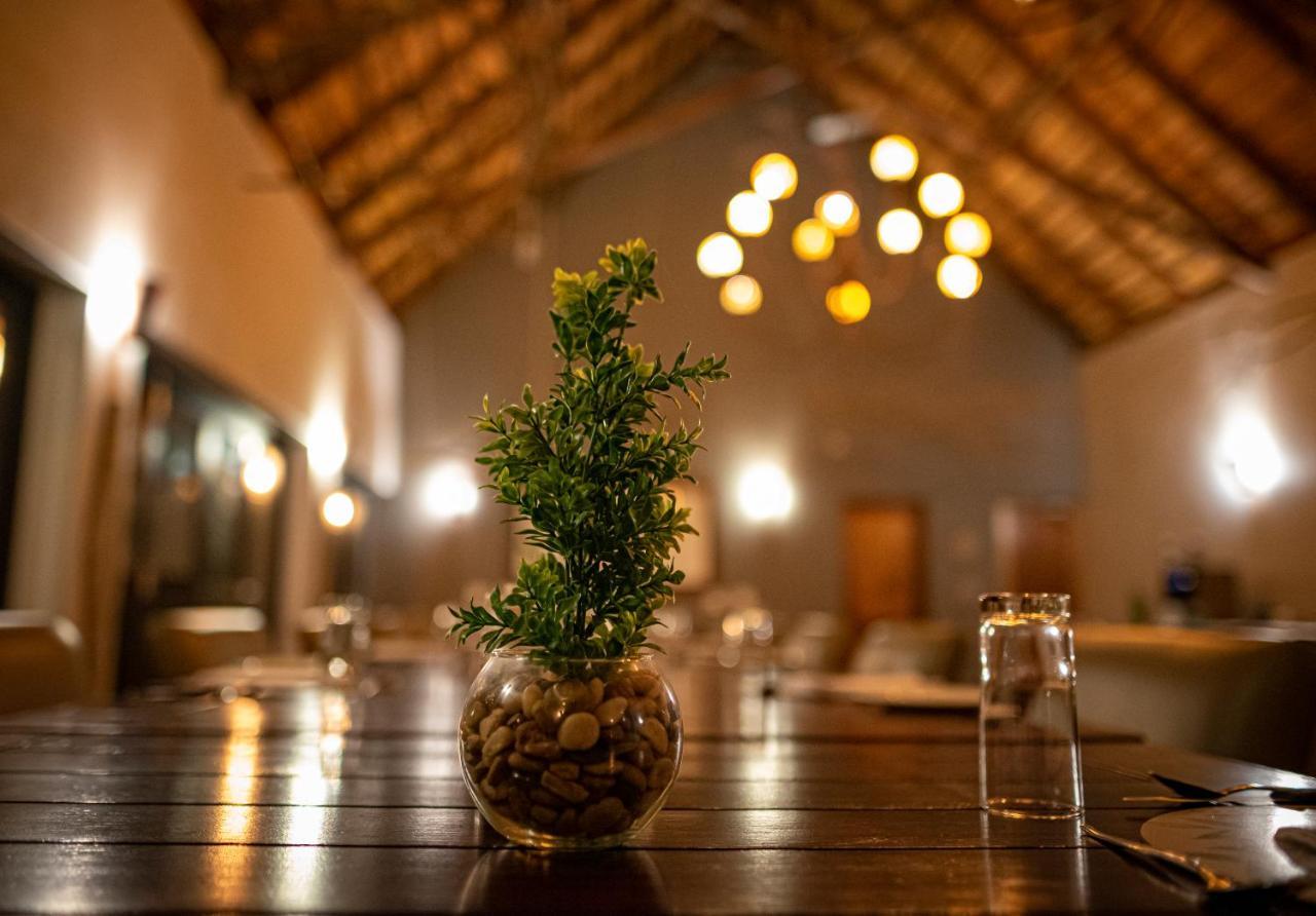 Elephant Plains Game Lodge Sabi Sand Game Reserve Eksteriør billede