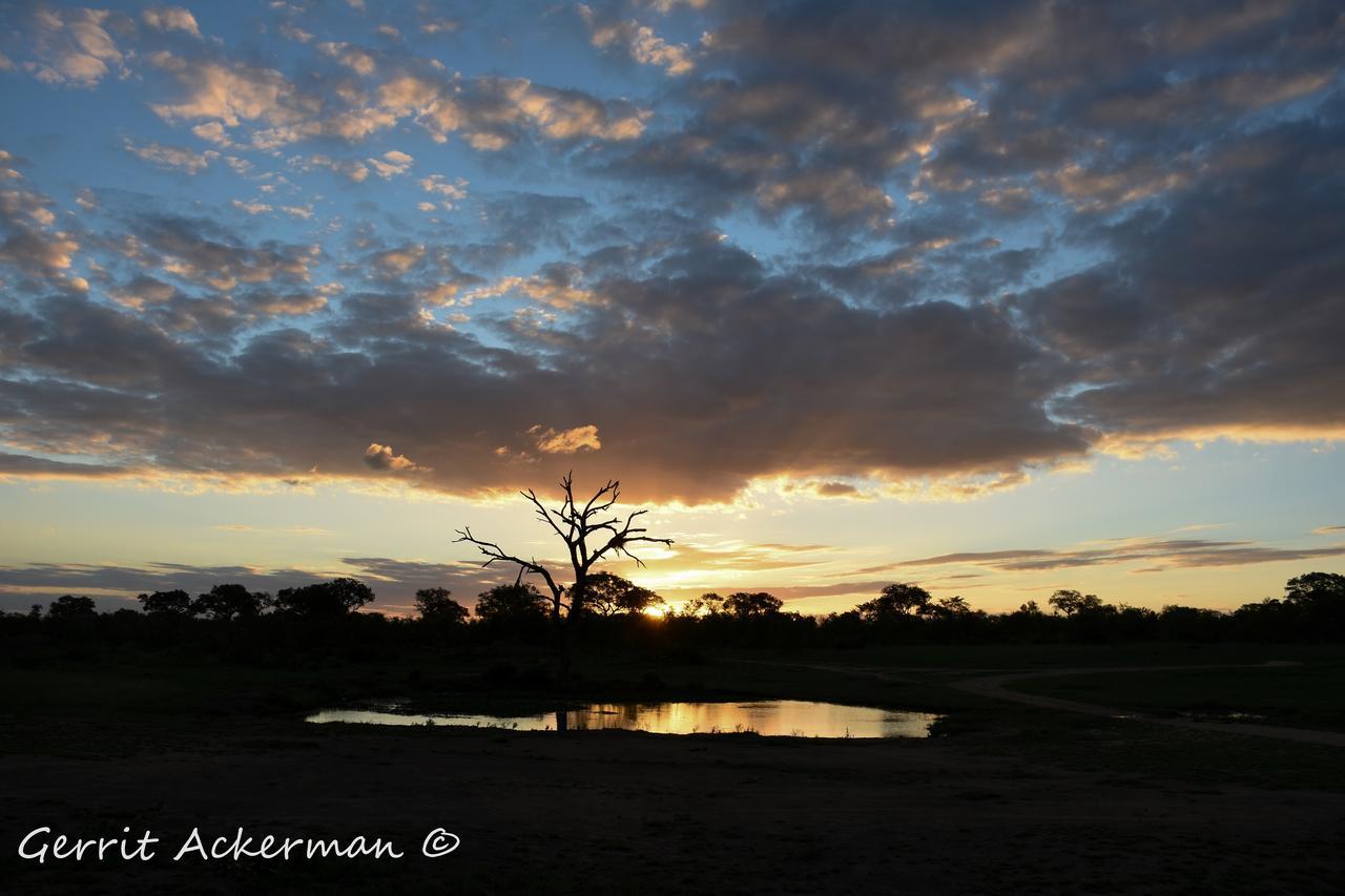 Elephant Plains Game Lodge Sabi Sand Game Reserve Eksteriør billede
